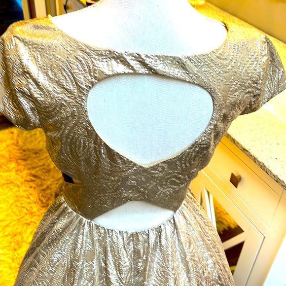 Adrianna Papeli Harvey Logan Metallic Dress - Picture 5 of 12